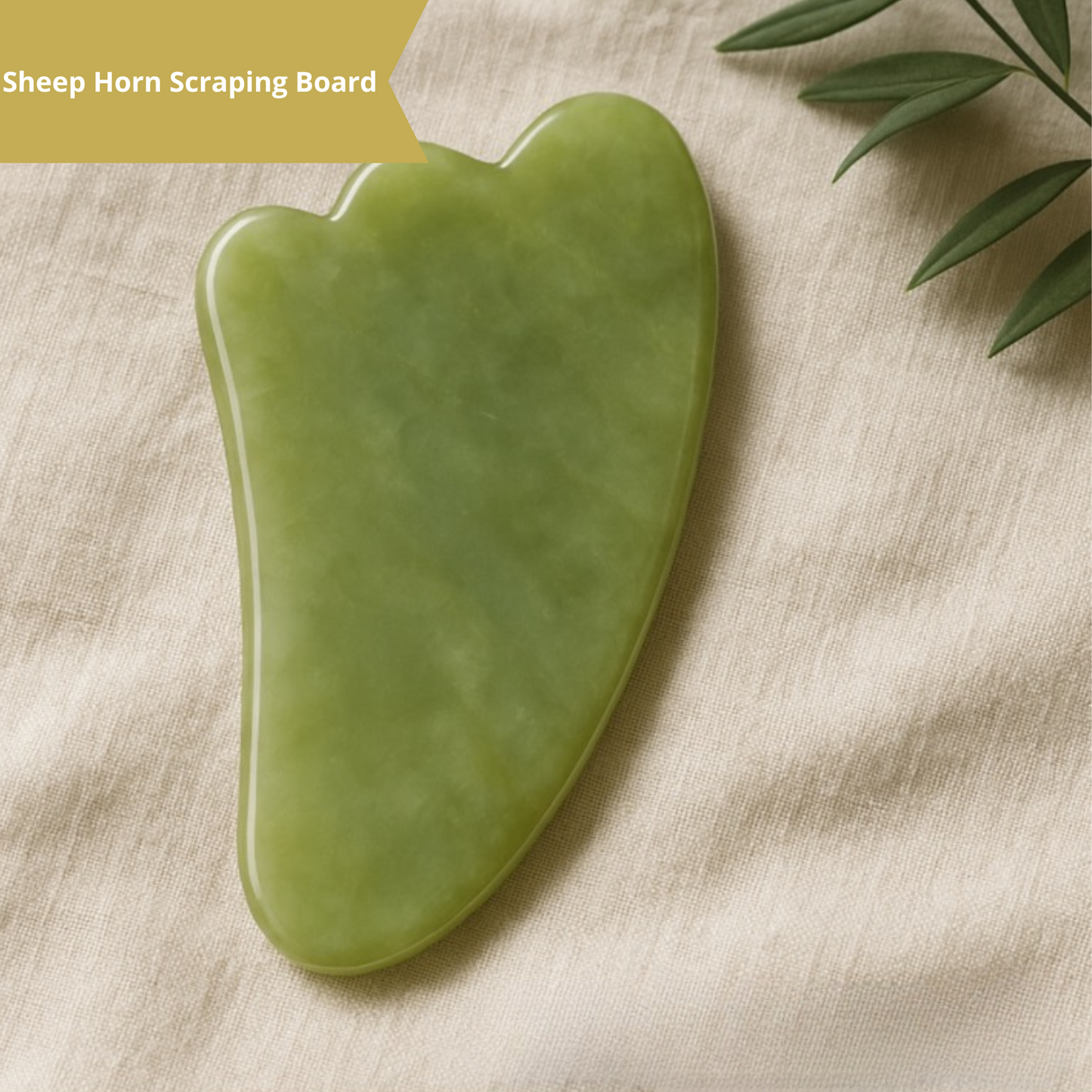 Jade Luxe Lift Set